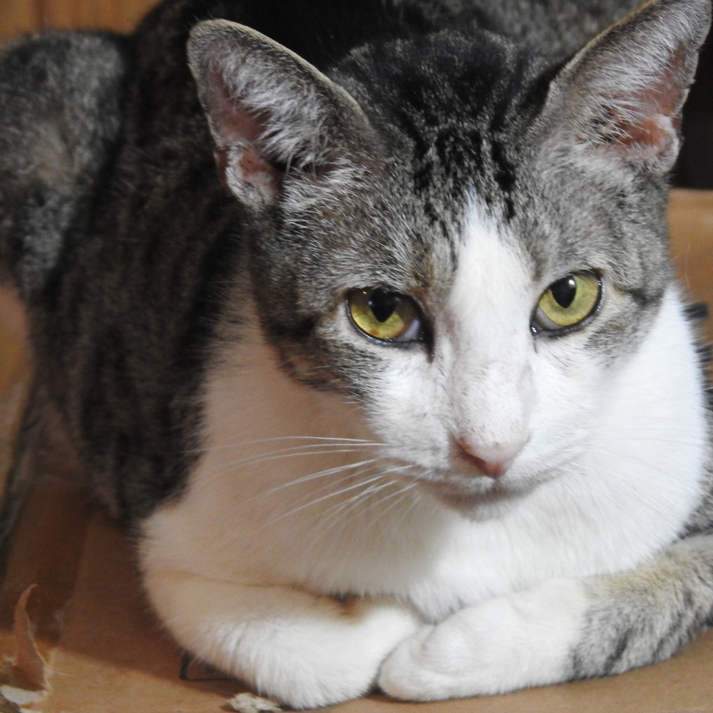 Meet your Posher, Jamie